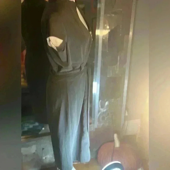 Sandra Darren dress - Picture 7 of 7